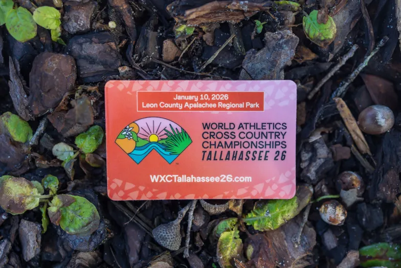 Colorful World Athletics Cross Country Championships Tallahassee 26 displayed on a nature-based background.